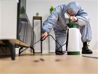 Dịch Vụ Diệt Gián Đức​ Giá Tốt – Xử Lý Triệt Để Chỉ Sau 1 Lần