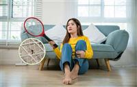 Cách diệt muỗi tận gốc bảo vệ sức khoẻ gia đình