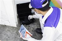 Dịch vụ diệt chuột tại nhà​