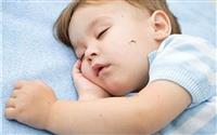 Vì sao cần xử lý côn trùng sớm để tránh ảnh hưởng đến sinh hoạt