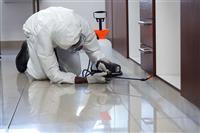 Diệt mối mọt tận gốc: Giải pháp an toàn, hiệu quả và báo giá chi tiết