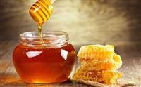 Bị ong đốt bôi gì? Các bước sơ cứu và cách xử lý tại nhà an toàn