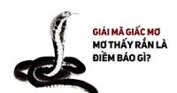 Nằm mơ thấy rắn cắn đánh số gì? Giải mã điềm báo và con số may mắn