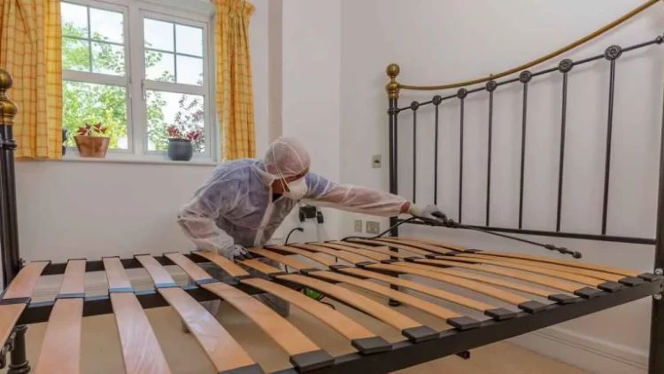 báo giá phun thuốc diệt côn trùng