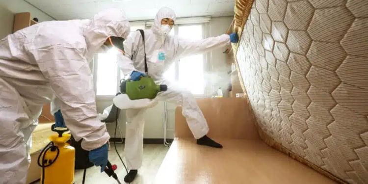  diệt côn trùng tại nhà​