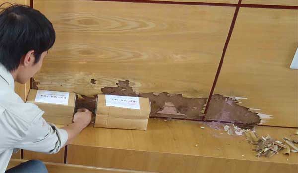 Diệt mối tại Hưng Yên​