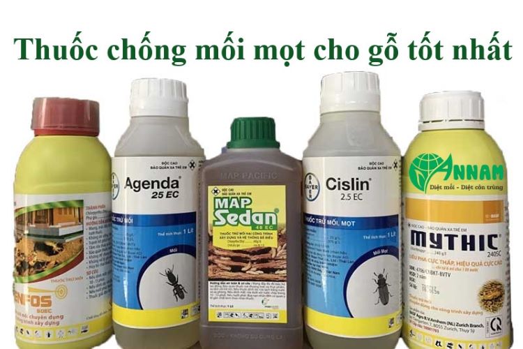 Diệt mối mọt tại Hà Nội​