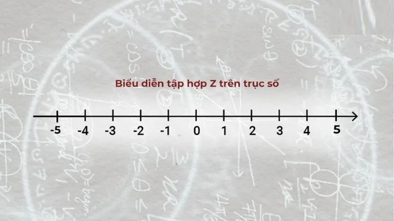 Z là tập hợp số gì​