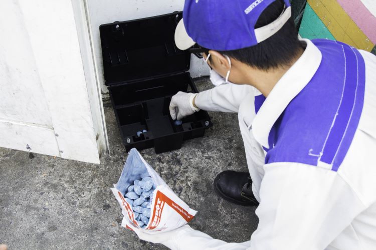 dịch vụ diệt côn trùng tại hà nội​