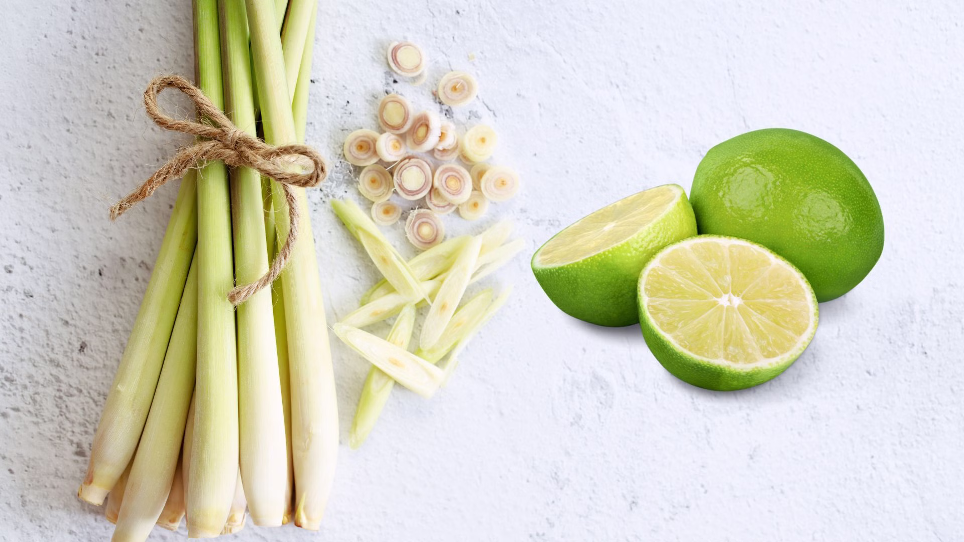 Các loại côn trùng thường gặp trong nhà và cách xử lý