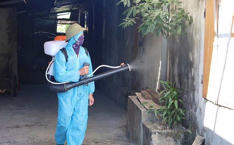 Những nguyên nhân khiến côn trùng làm tổ trong nhà