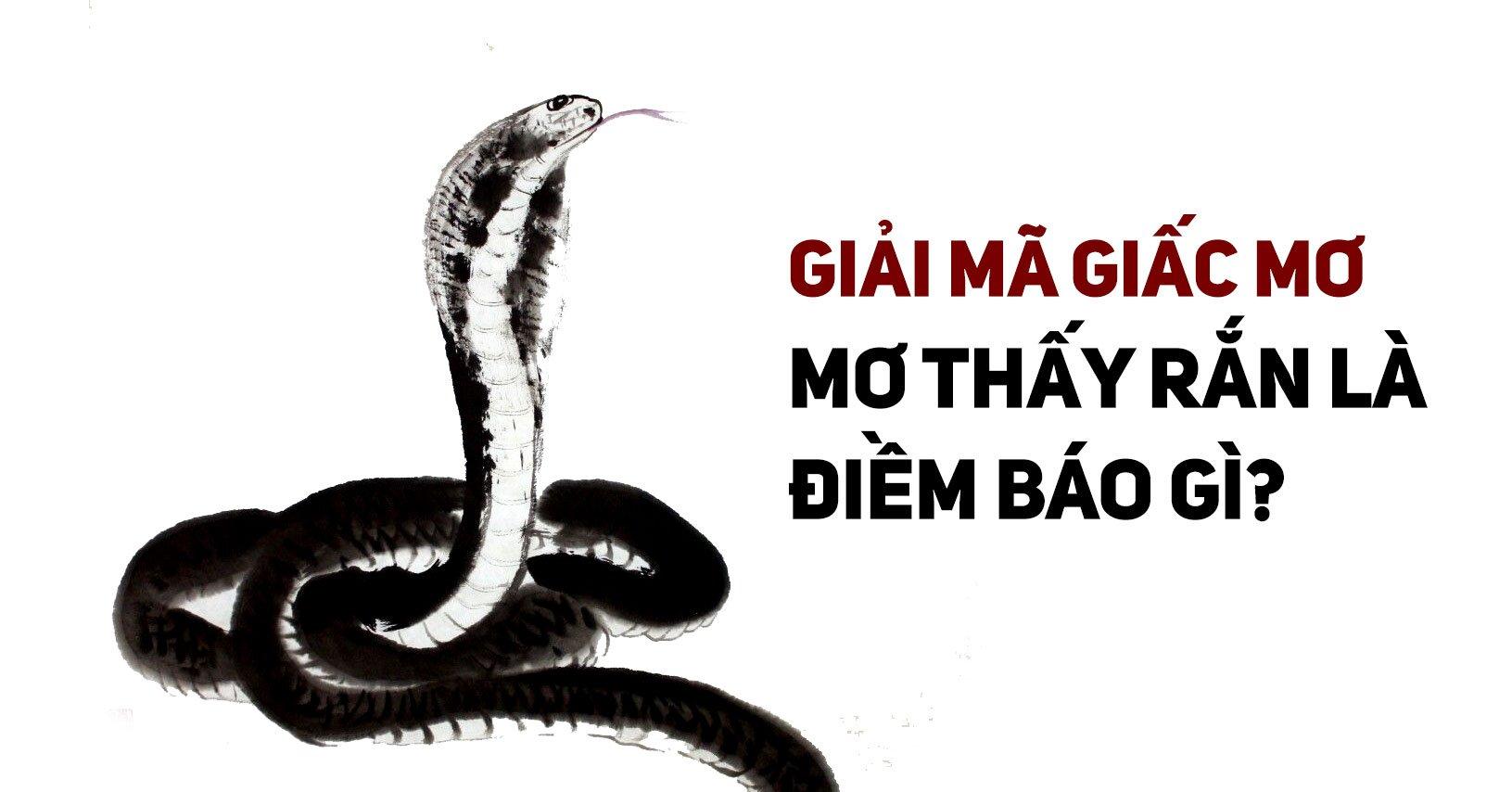 Nằm mơ thấy rắn cắn đánh số gì