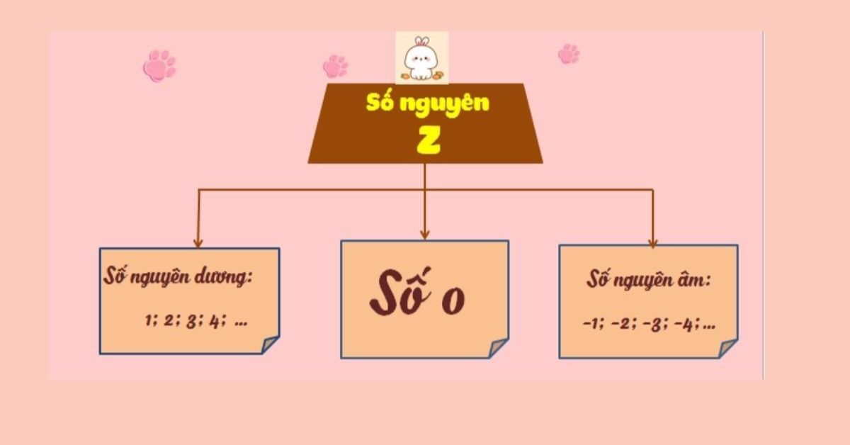 Z là tập hợp số gì​