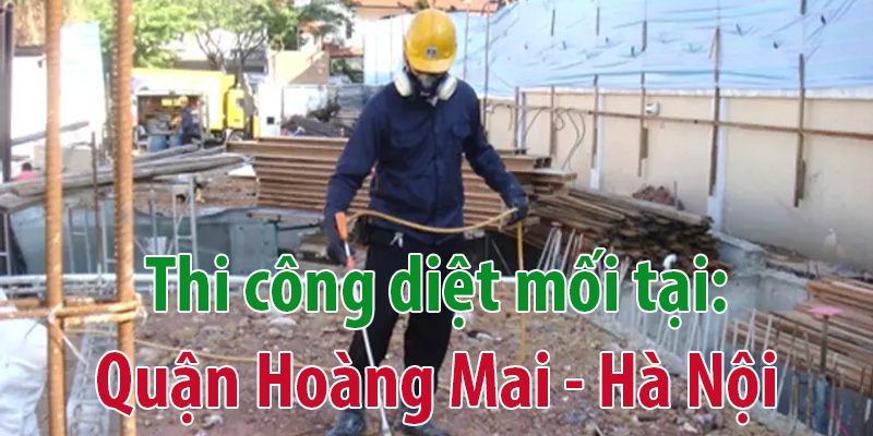 công ty diệt mối tại hà nội