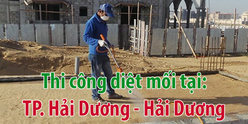 phun thuốc diệt côn trùng tại nhà