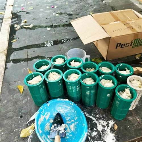 phun thuốc diệt côn trùng tại nhà