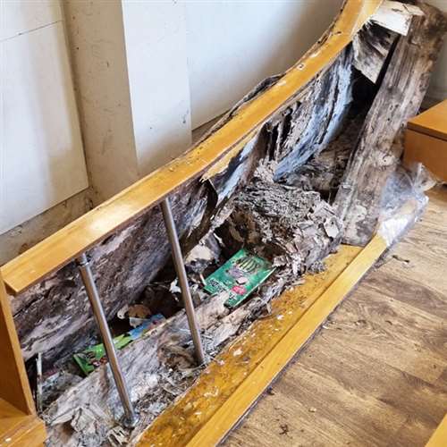  diệt côn trùng tại nhà​