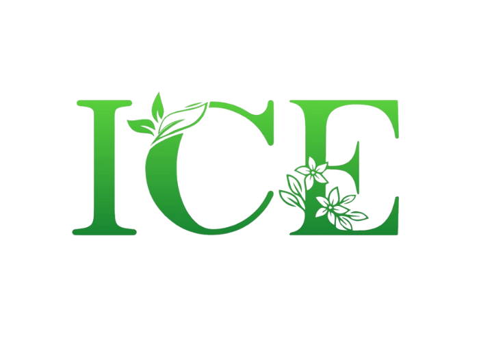 Dịch vụ diệt côn trùng Hà Nội